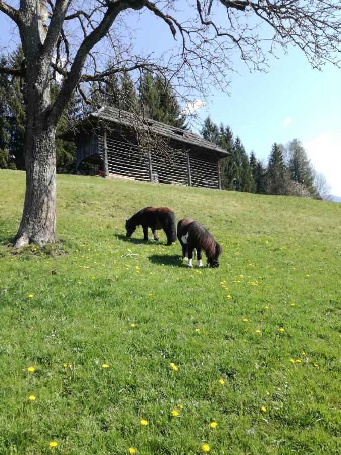 Haus Oswald Am See Hermagor-Pressegger See Buitenkant foto